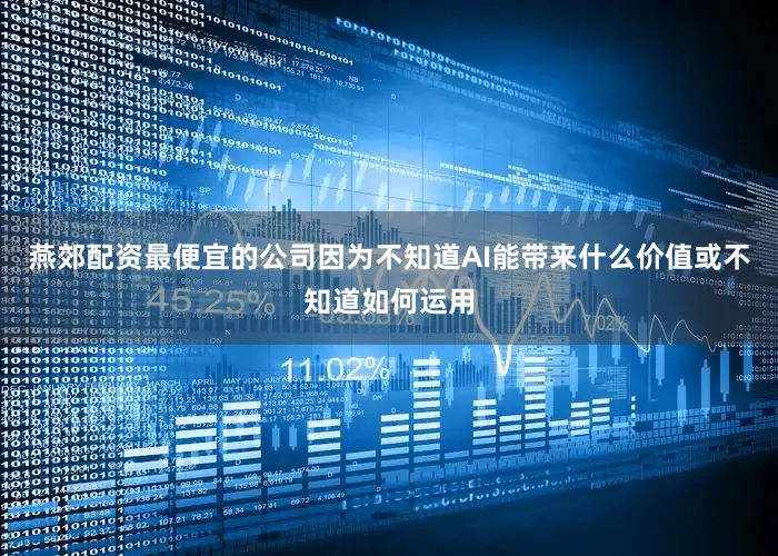 燕郊配资最便宜的公司因为不知道AI能带来什么价值或不知道如何运用