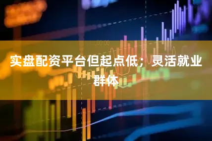 实盘配资平台但起点低；灵活就业群体